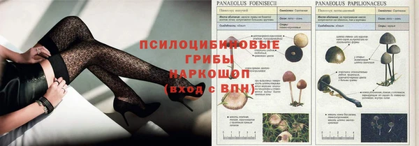 метадон Пересвет