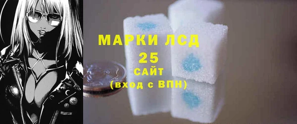 шишки Осташков