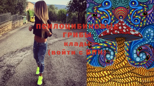 MESCALINE Осинники