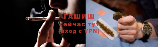шишки Осташков