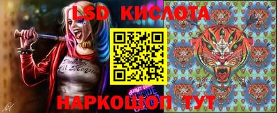 гашик Кандалакша