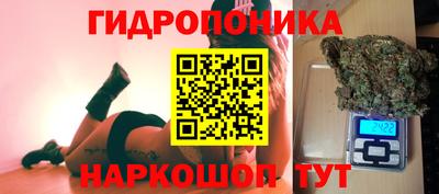 гашик Кандалакша