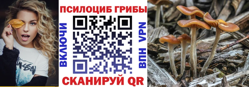 Псилоцибиновые грибы мицелий  blacksprut зеркало  Татарск  купить наркотики сайты 