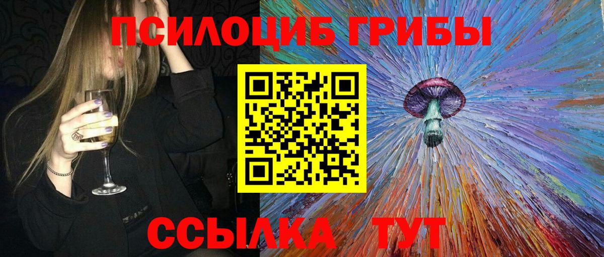 Татарск  Псилоцибиновые грибы MAGIC MUSHROOMS  Вход с VPN 