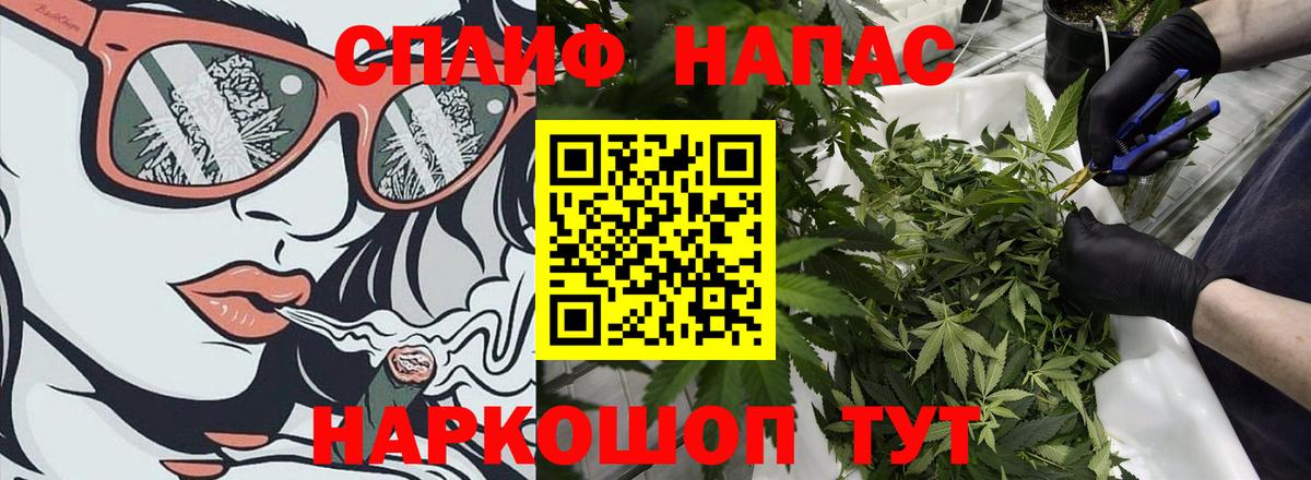 Бошки Шишки гибрид  Вход с VPN  Татарск  Канабис тримм  Марихуана индика 